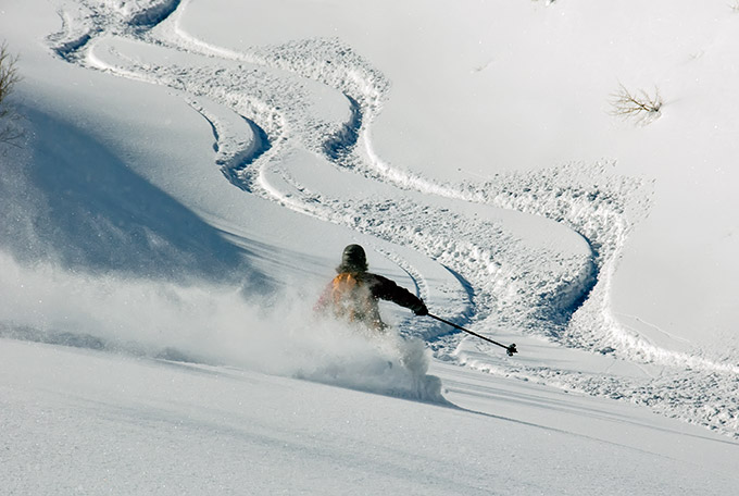 into the gully